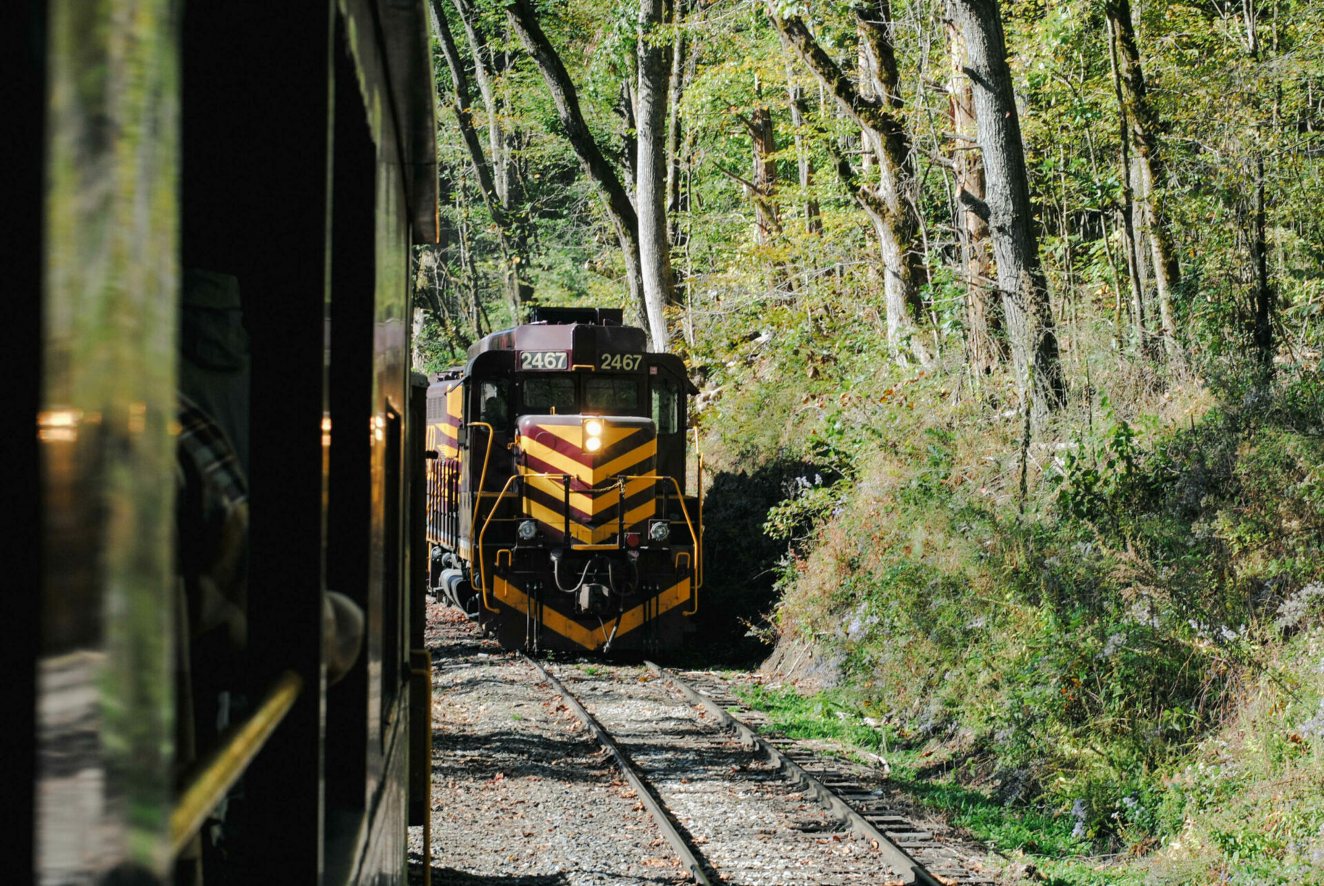 Nantahala River Gorge train