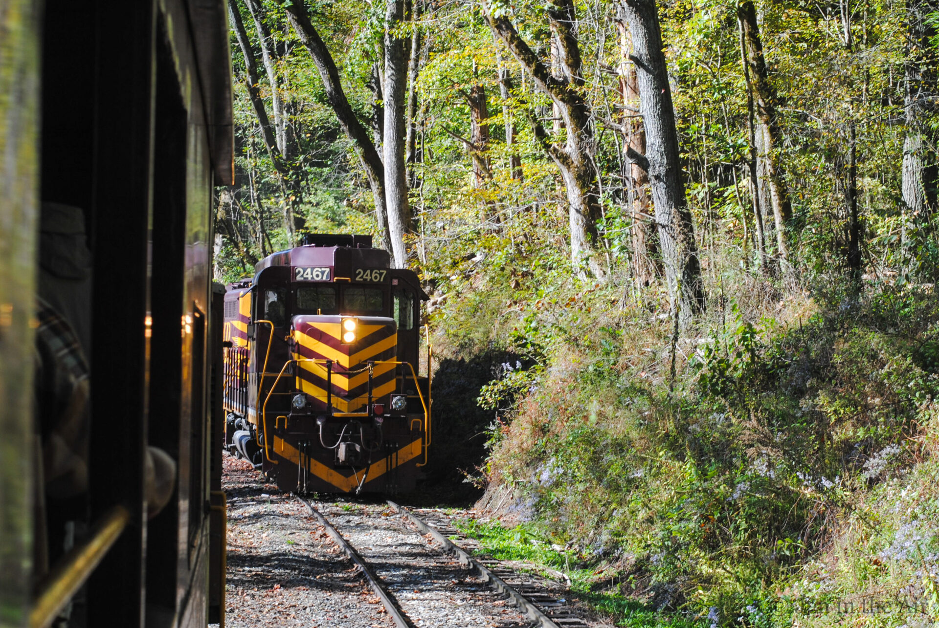 Great Smoky Mountain Railroad, Nantahala River Gorge