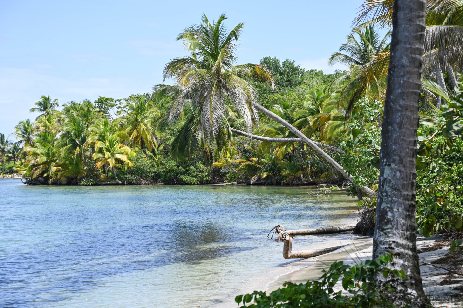 Starfish Beach