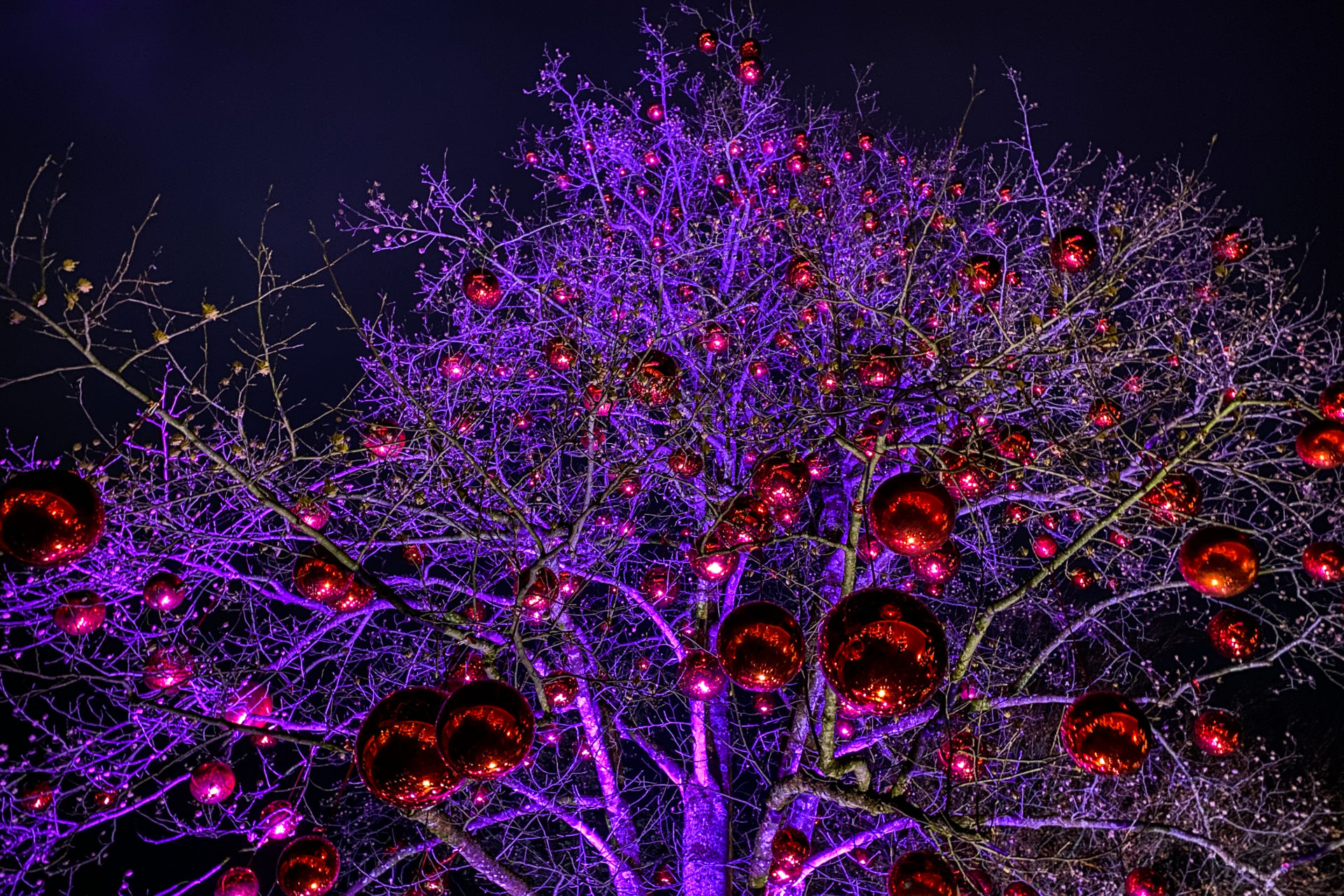 Hellbrunner Adventzauber