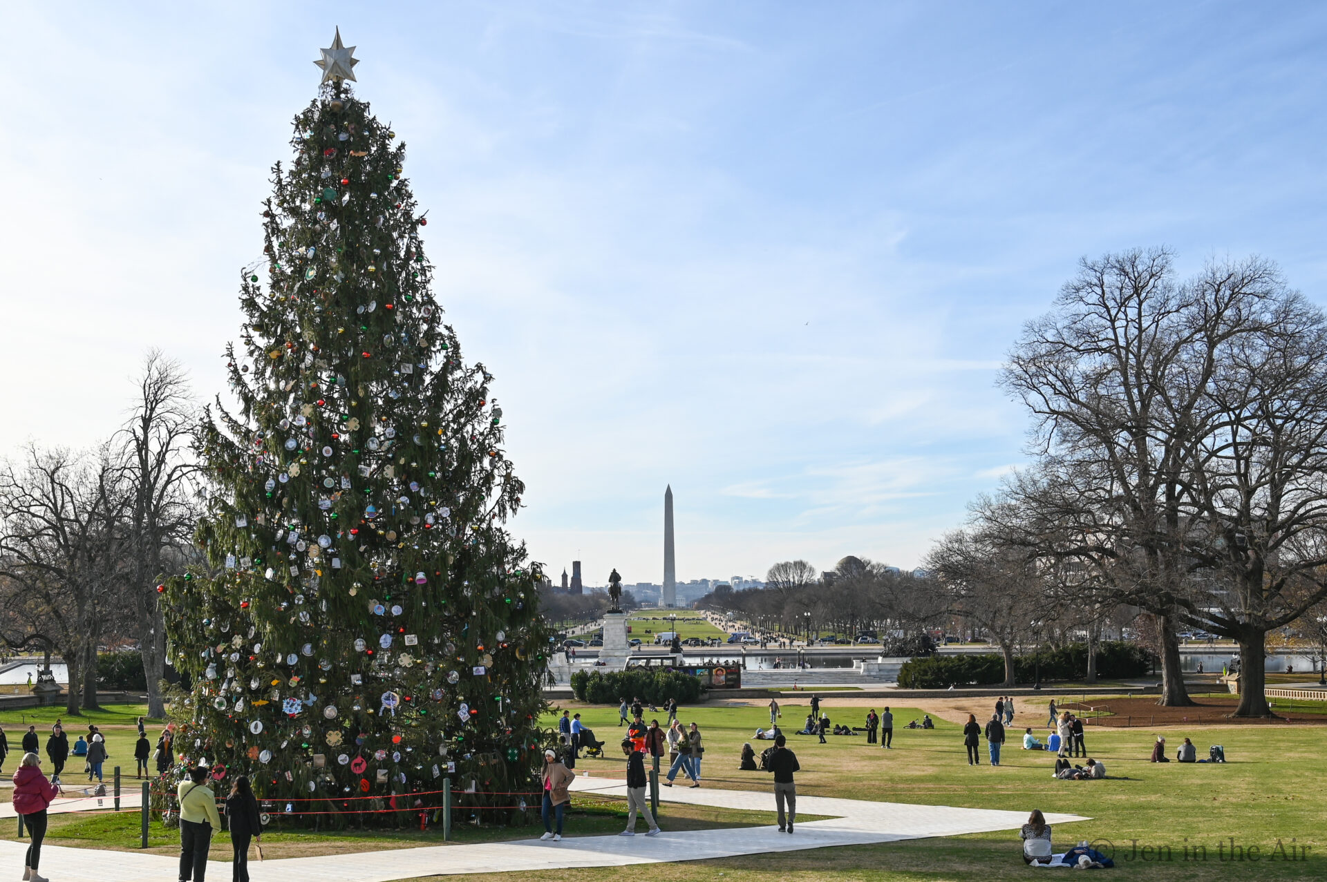 Capitol Christmas Tree